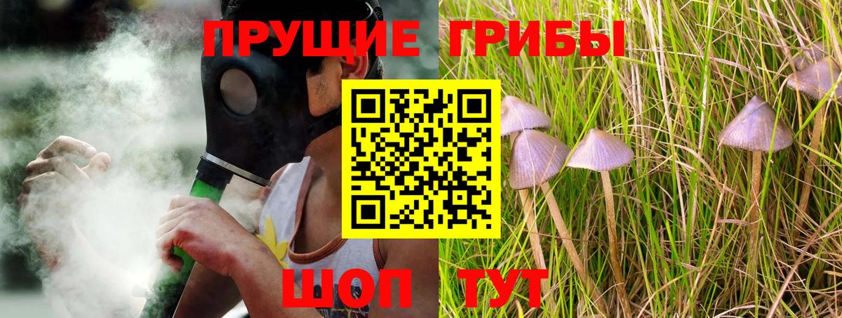 где найти   Псилоцибиновые грибы мицелий  Вход с VPN  Ревда  Псилоцибиновые грибы Psilocybine cubensis 