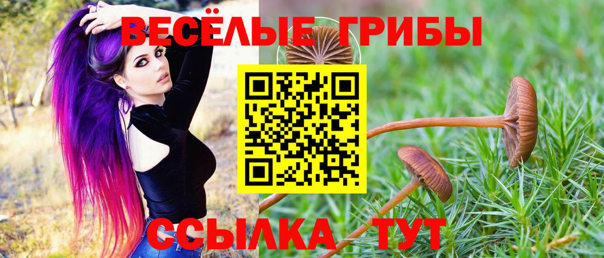 Псилоцибиновые грибы Psilocybine cubensis Ревда